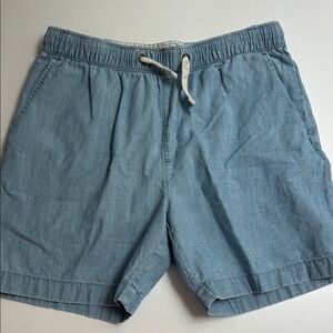 JCrew Crewcuts Boys Light Blue Drawstring Shorts size 14